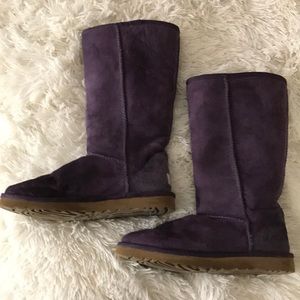 Classic Tall Ugg Boots || Purple
